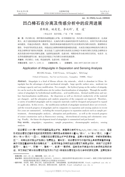 凹凸棒石在分离及传感分析中的应用进展