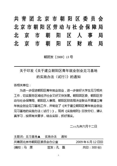 关于建立朝阳区青年就业创业的指导意见