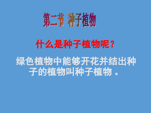 人教版生物七年级上册第三单元 第一章3.1.2《种子植物》