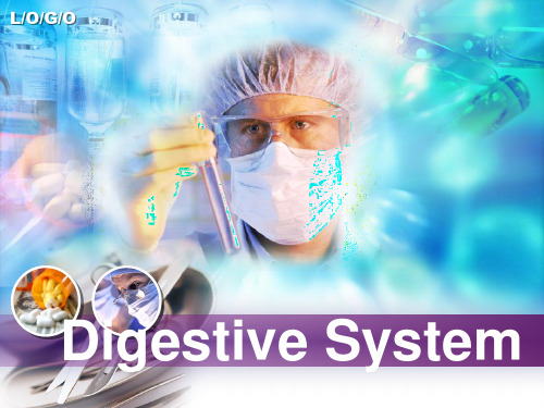 Digestive System消化系统英文值得收藏