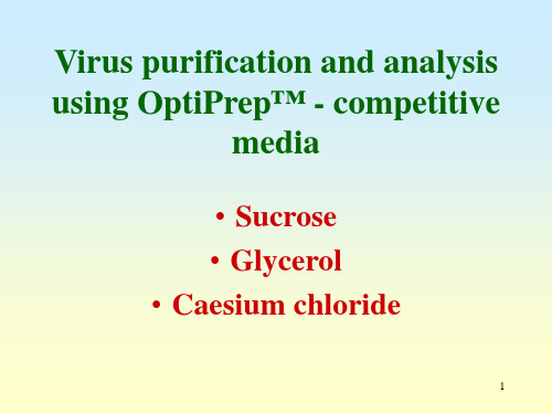 病毒纯化与分析PPT课件