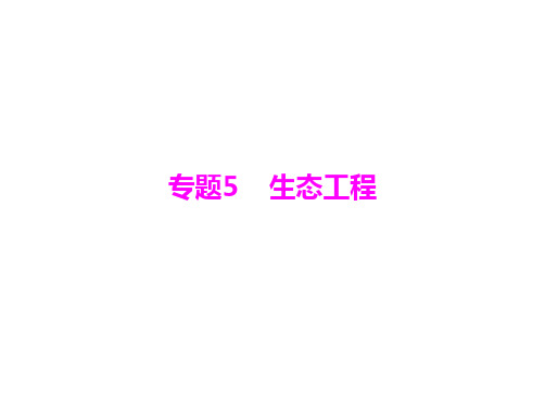 选修3专题5生态工程课件高三生物高考总复习课件
