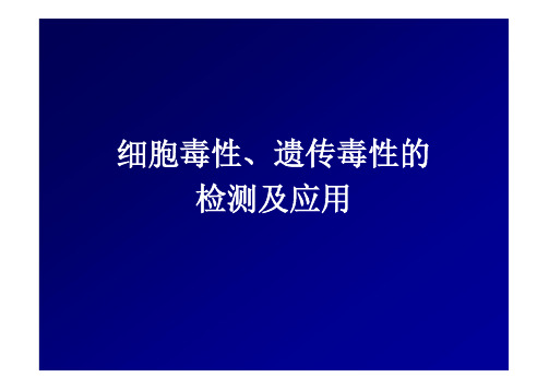 TCB7-5细胞毒性遗传毒性的检测及应用