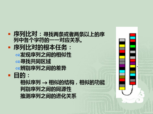 生物信息学基础第三章