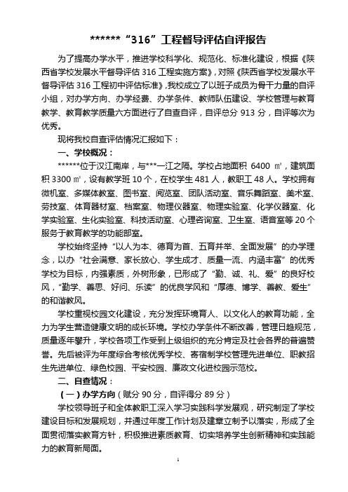 “316”工程督导评估自评报告