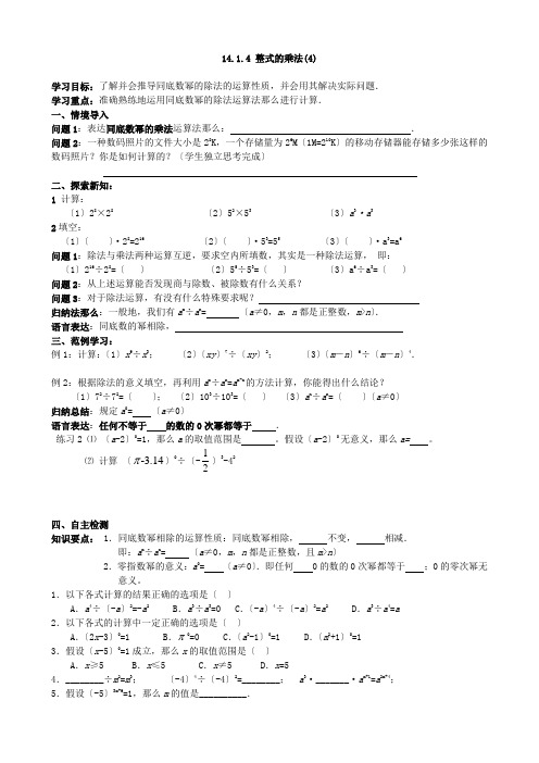 人教版八年级数学上 整式的乘法(4)