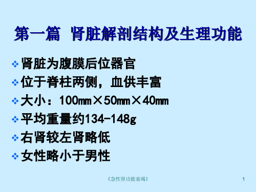 急性肾功能衰竭课件