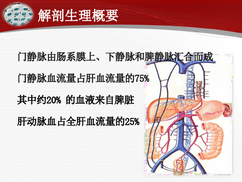 门静脉高压症患者的护理