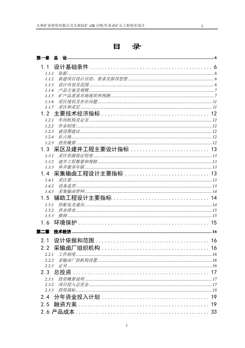 太和盐矿120万吨年采卤矿山工程初步设计及可行性研究报告