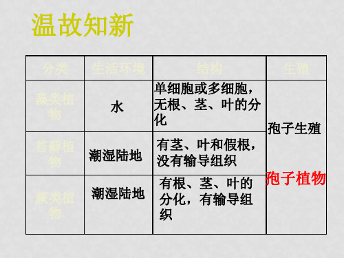 七年级生物上册 第三单元 第一章 第二节 种子植物课件 新人教版(2)