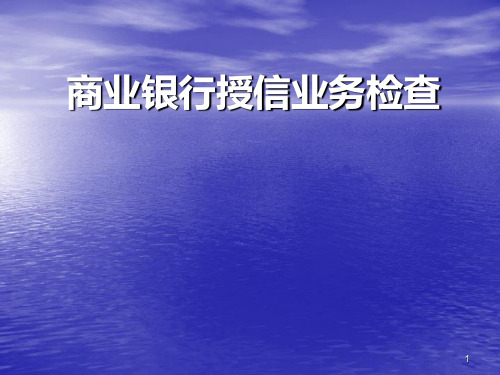 商业银行授信业务检查精品PPT课件