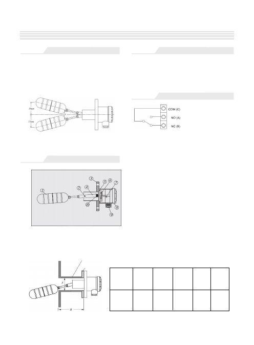 CE侧装浮球液位开关