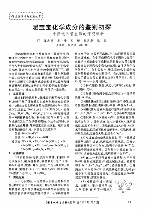 暖宝宝化学成分的鉴别初探——一个贴近日常生活的探究活动