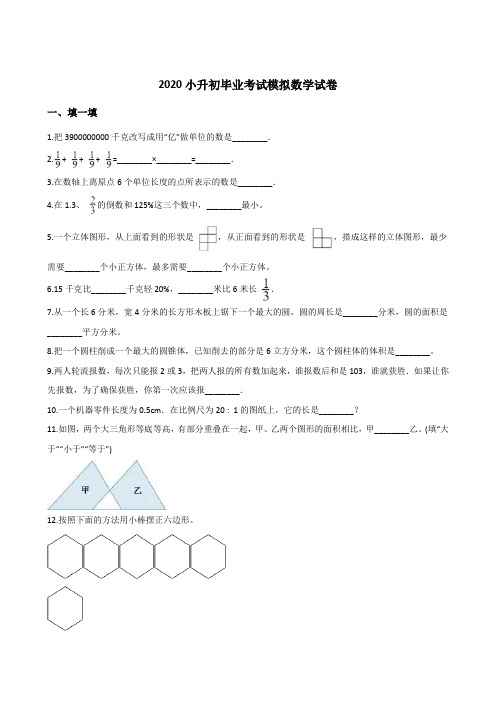 人教版2020小升初毕业考试模拟数学试题 (含答案)