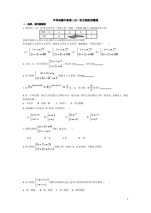 中考试题中精典二元一次方程组_含答案与解析_word版