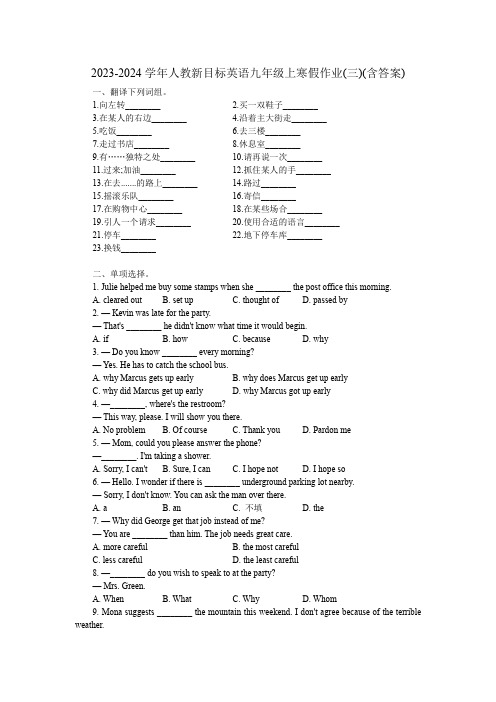 2023-2024学年人教新目标英语九年级上寒假作业(三)(含答案)