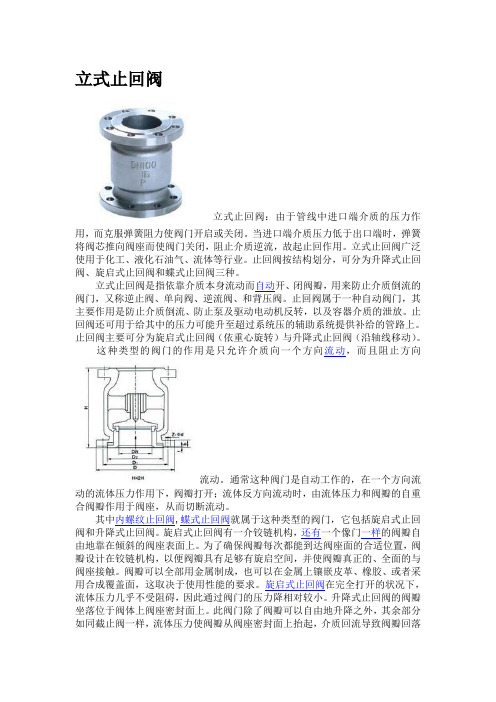 立式止回阀