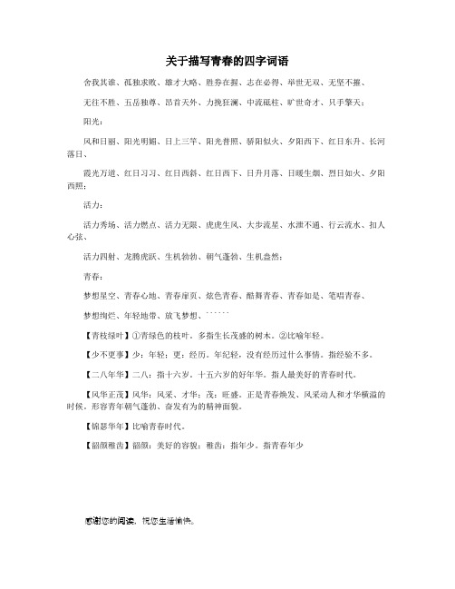 关于描写青春的四字词语