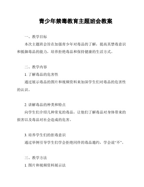 青少年禁毒教育主题班会教案