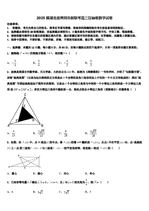 2025届湖北省黄冈市新联考高三压轴卷数学试卷含解析