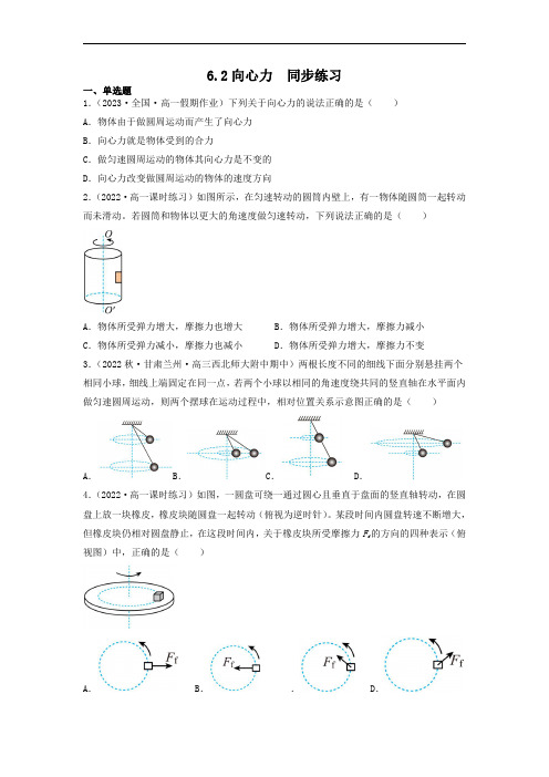 6.2向心力【高一下册物理必修二】(原卷版)