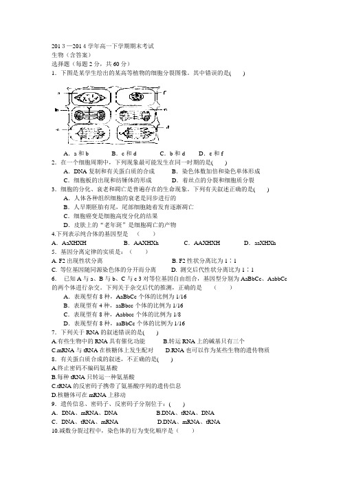 2013—2014学年高一下学期期末考试生物(含答案)