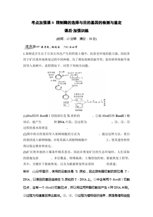 考点加强课6 限制酶的选择与目的基因的检测与鉴定