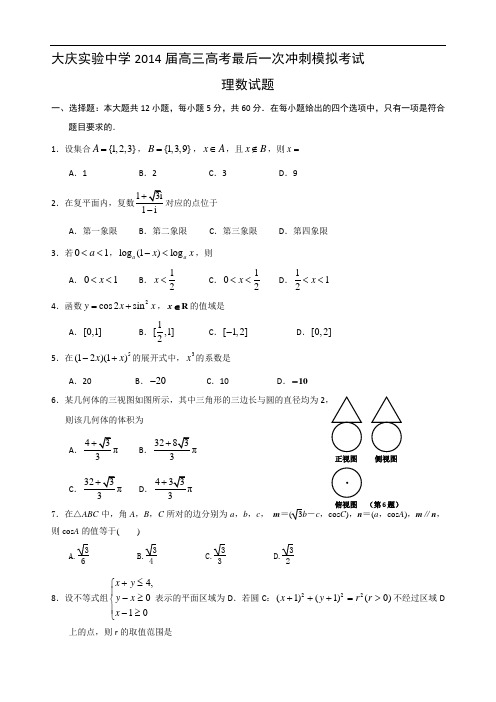 黑龙江省大庆实验中学2014届高三高考最后一次冲刺模拟考试理数试题及答案