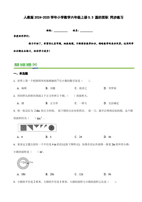 人教版2024-2025学年小学数学六年级上册5.3 圆的面积 同步练习(含答案)