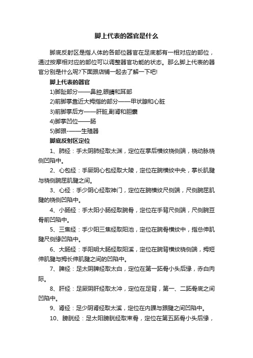 脚上代表的器官是什么