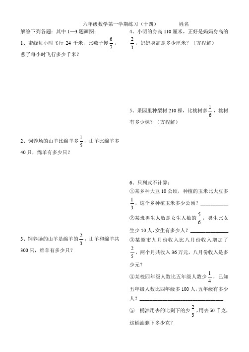 人教版六年级数学上册数学周周练14