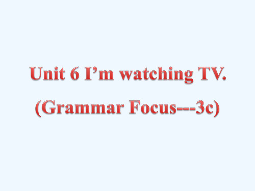 英语人教版七年级下册unit 6 Grammar Focus-3a