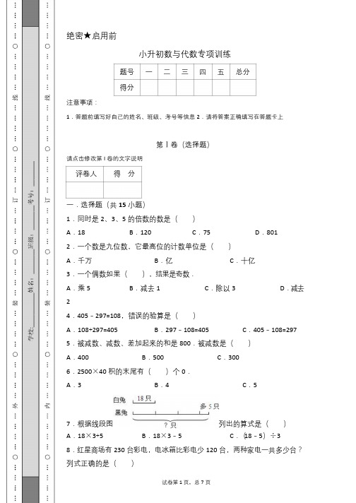 小升初数与代数专项训练 含答案