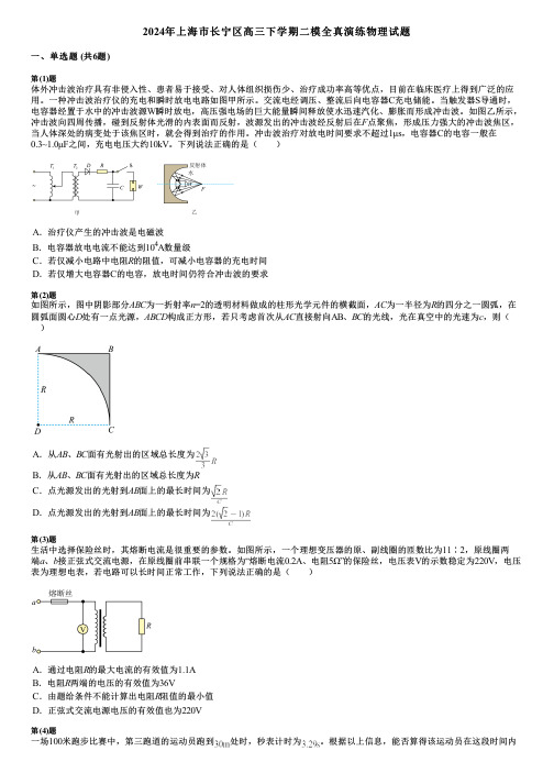 2024年上海市长宁区高三下学期二模全真演练物理试题