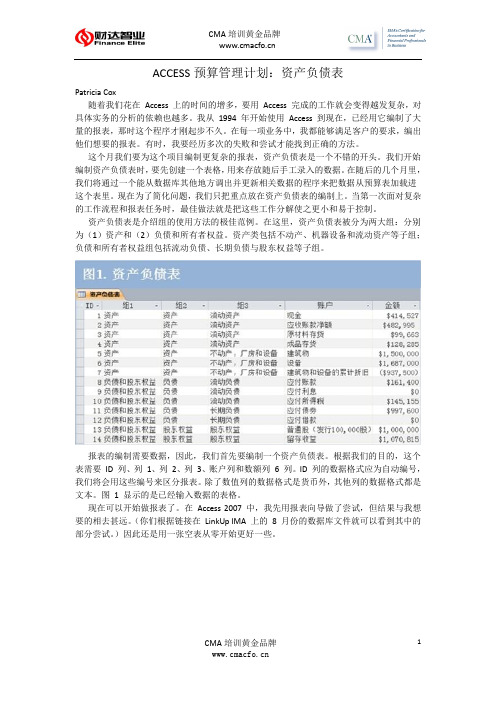 ACCESS预算管理计划：资产负债表