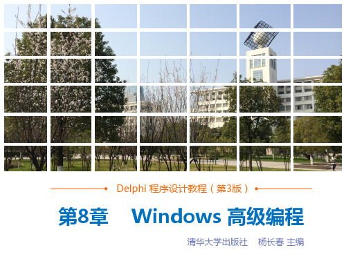 Delphi 第08章_Windows高级编程