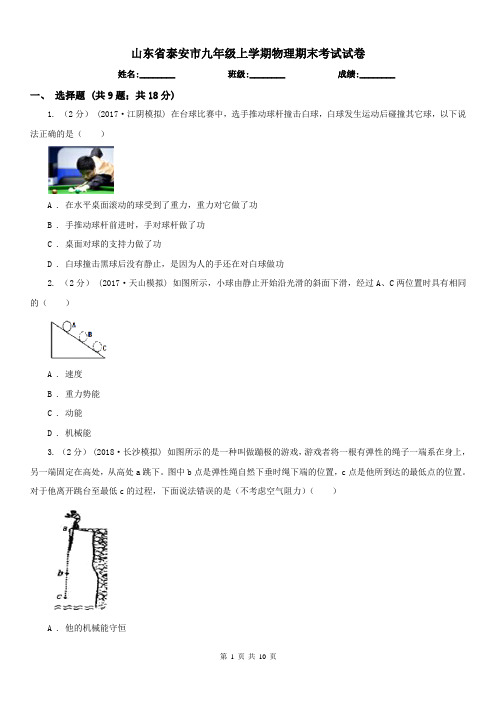 山东省泰安市九年级上学期物理期末考试试卷