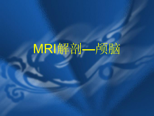 MRI解剖—颅脑ppt课件