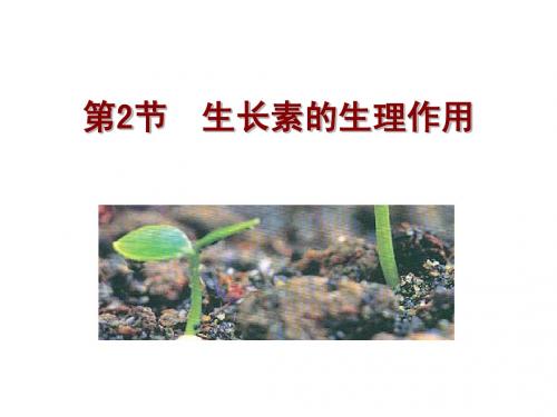 生物高中必修3第三章第二节课件2