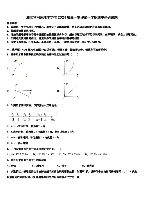 湖北省荆州成丰学校2024届高一物理第一学期期中调研试题含解析