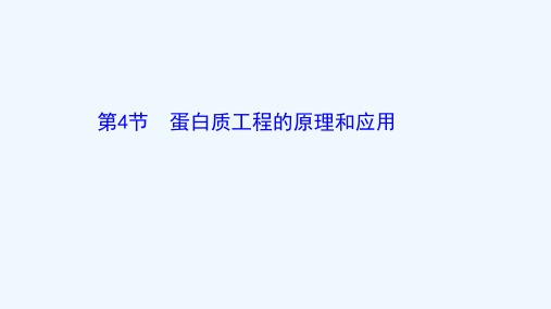 2020_2021学年新教材高中生物第3章基因工程4蛋白质工程的原理和应用课件新人教版选择性必修32