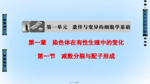 高中生物第1单元遗传与变异的细胞学基础第1章染色体在有性生殖中的变化第1节减数分裂与配子形成课件中图