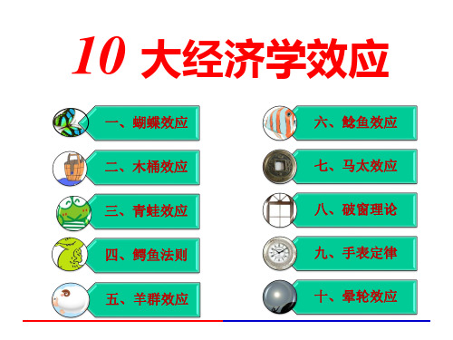 10大经济学效应汇总