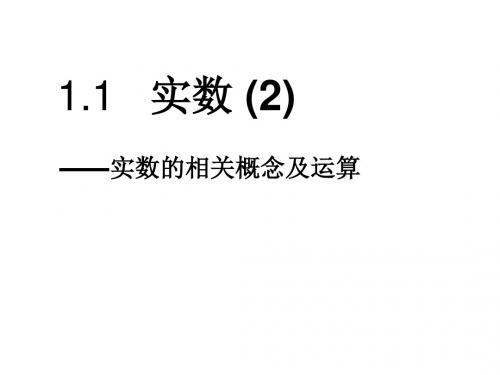 1.1实数的有关概念及运算2