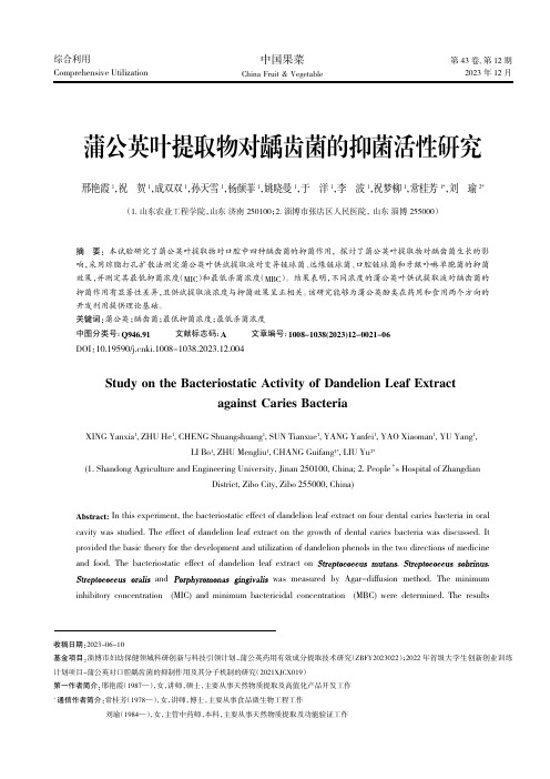 蒲公英叶提取物对龋齿菌的抑菌活性研究