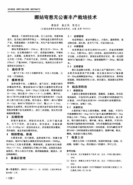 娜姑弯葱无公害丰产栽培技术