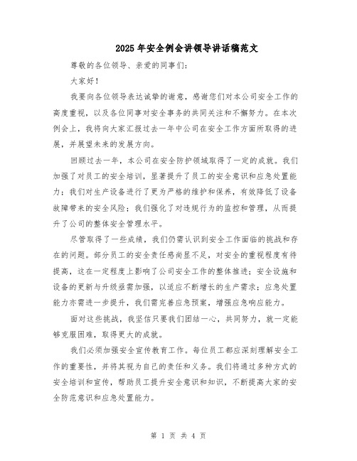 2025年安全例会讲领导讲话稿范文(2篇)