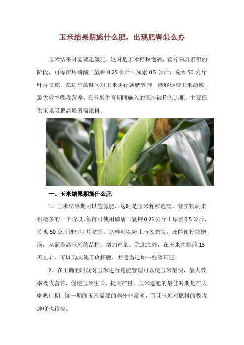 玉米结果期施什么肥,出现肥害怎么办