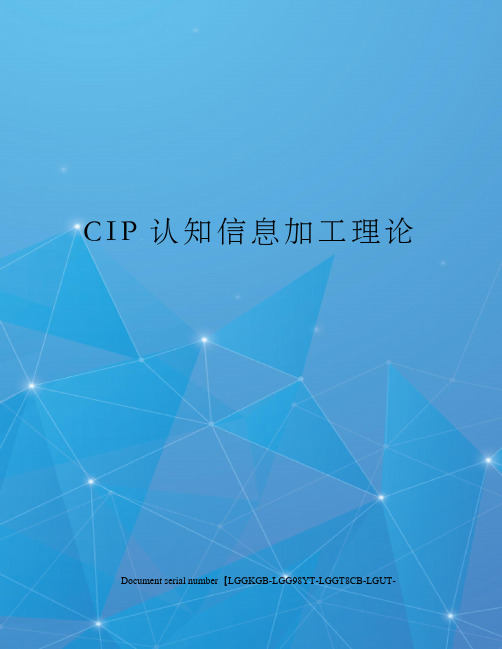 CIP认知信息加工理论