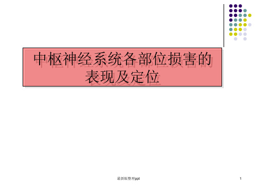 中枢神经各系统各部位损害的表现pppt课件